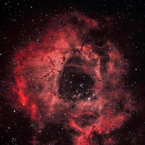 Photograph of rosette nebula